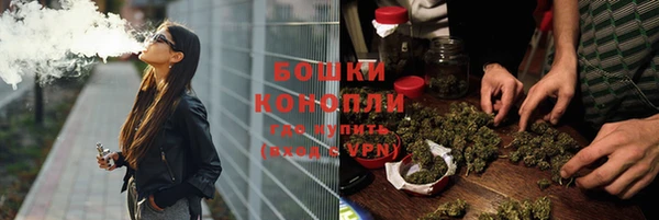 прущие грибы Баксан