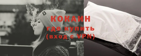 прущие грибы Баксан