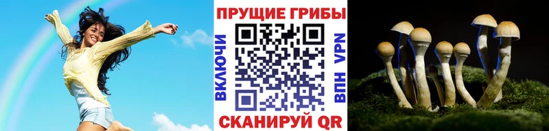 Галлюциногенные грибы Cubensis  Воркута 